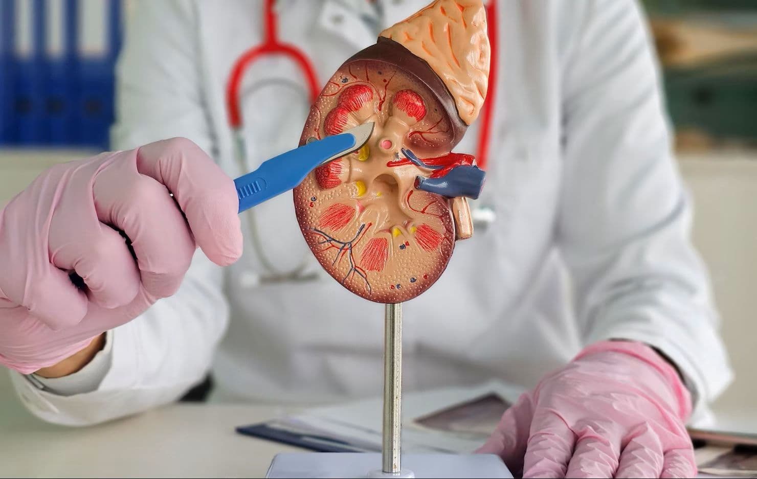 Percutaneous Needle Biopsies, FNAC And Catheter Drainages treatment