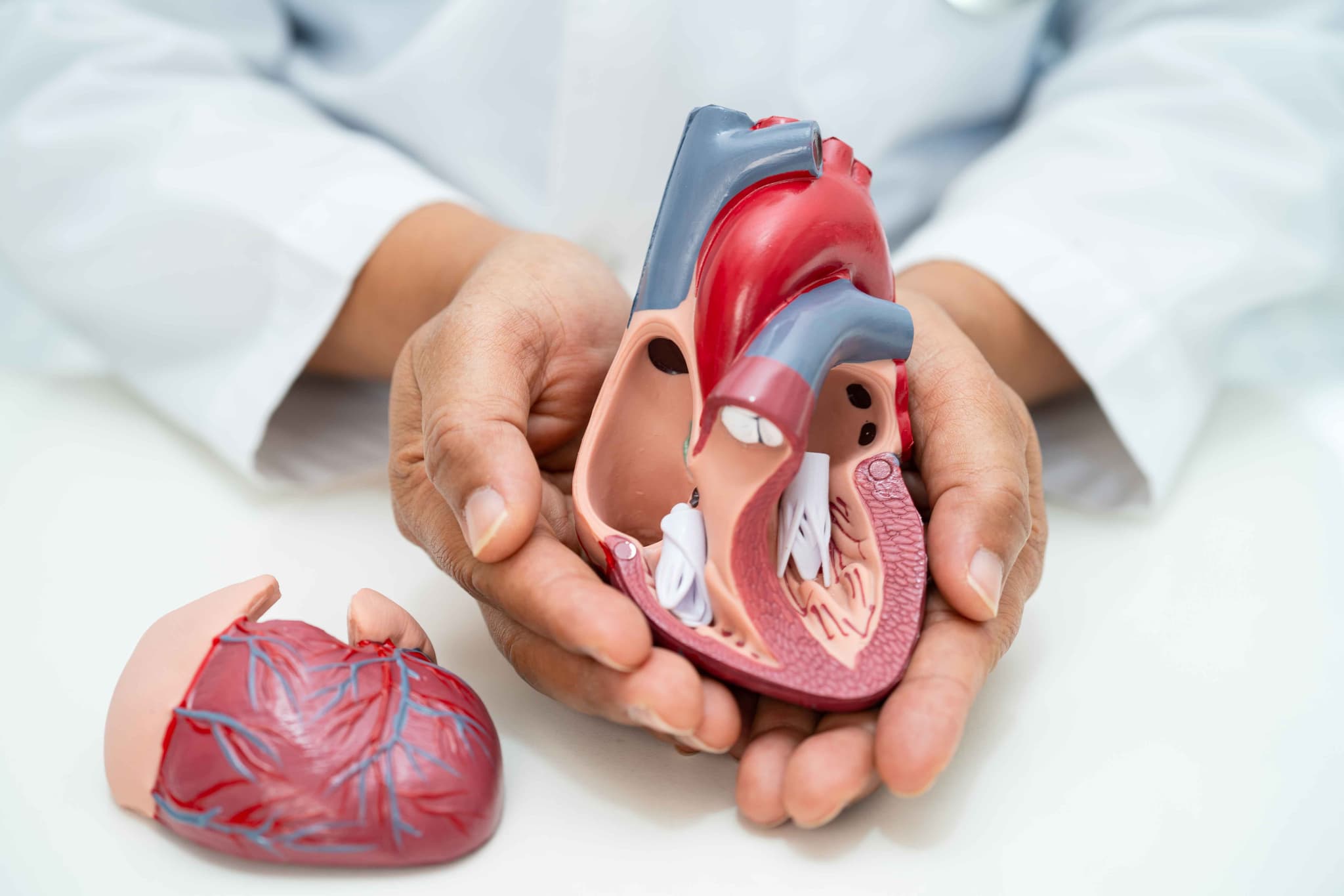 TMVI/TMVR (Transcatheter Mitral Valve Replacement) hospital