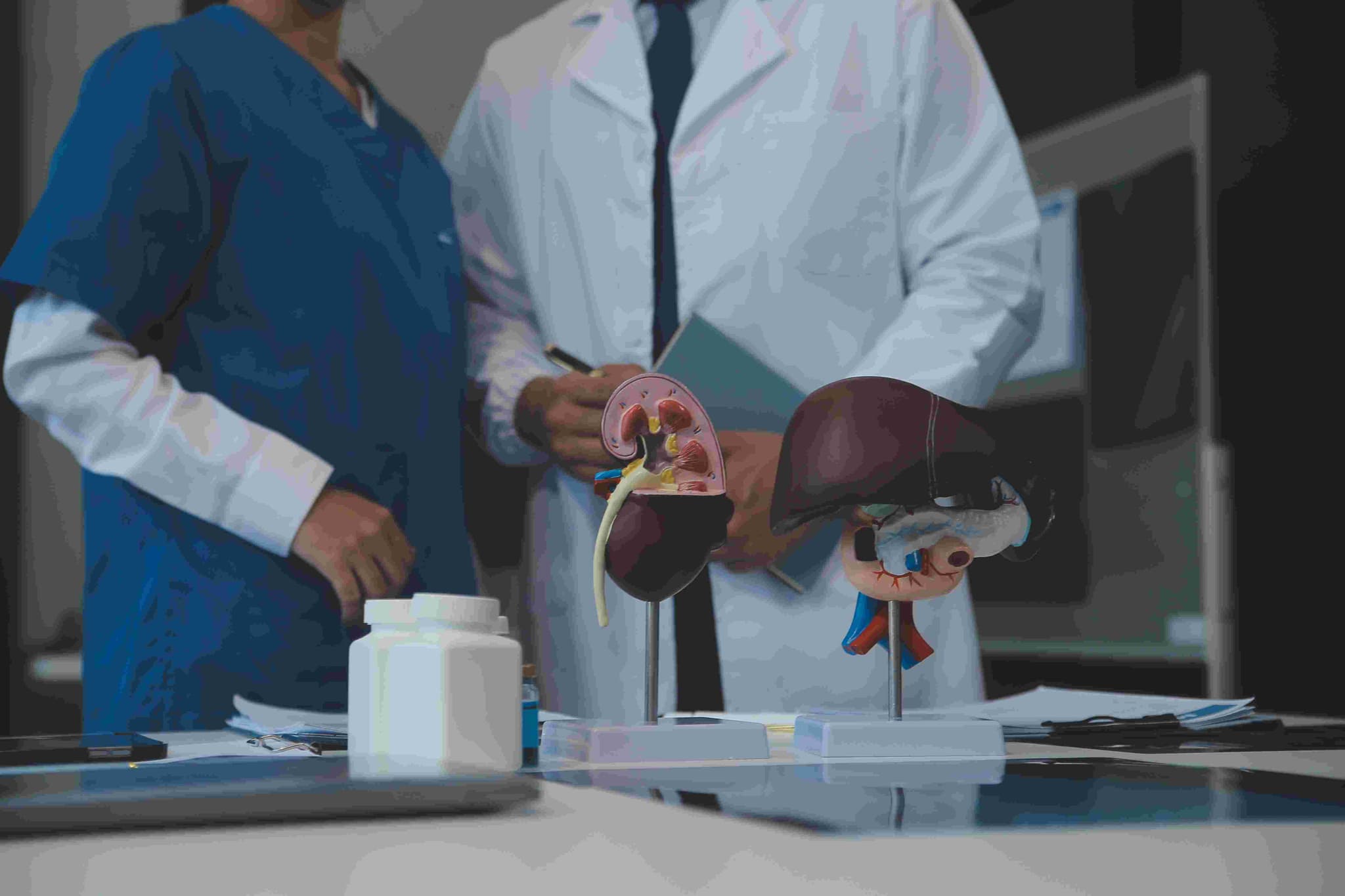 Liver Function Test (LFT)