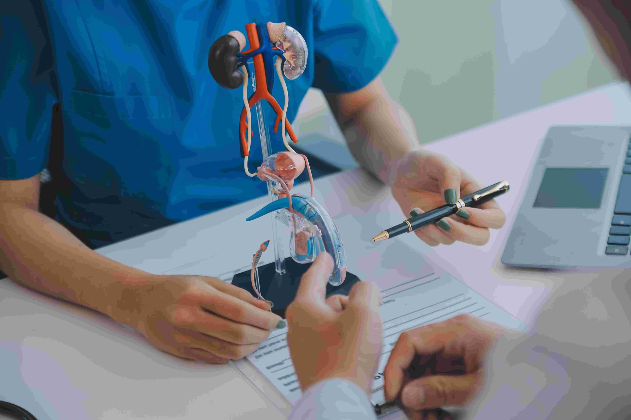 Urology hospital