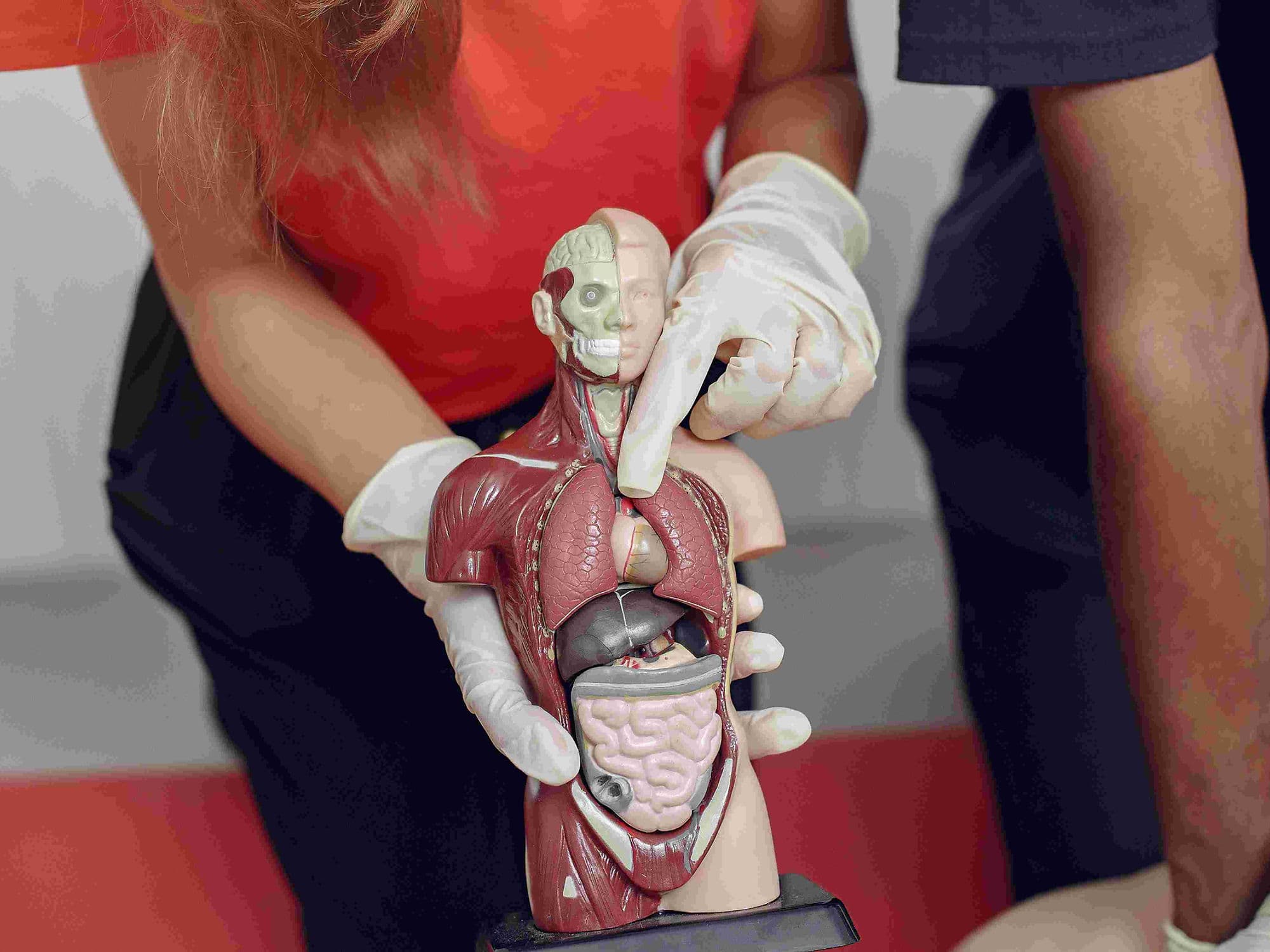 Thoracoabdominal Aneurysm Repair treatment