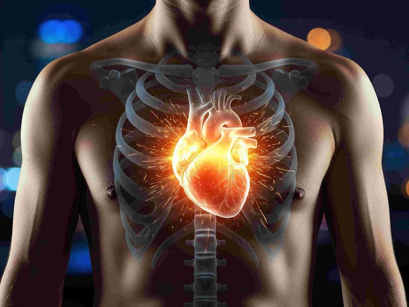 Aortic Aneurysm Repair (Open)