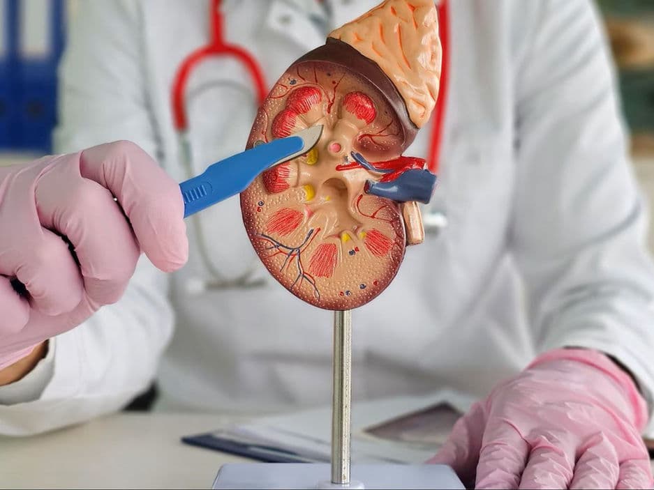 Percutaneous Needle Biopsies, FNAC And Catheter Drainages treatment