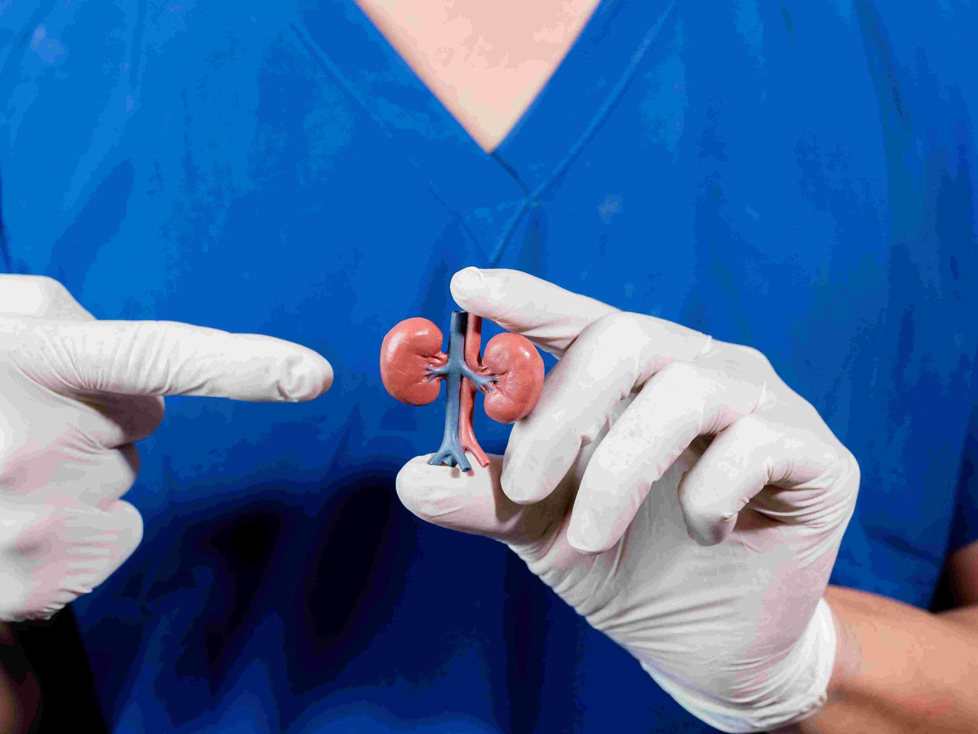 Partial Nephrectomy (Kidney-Saving Surgery) treatment