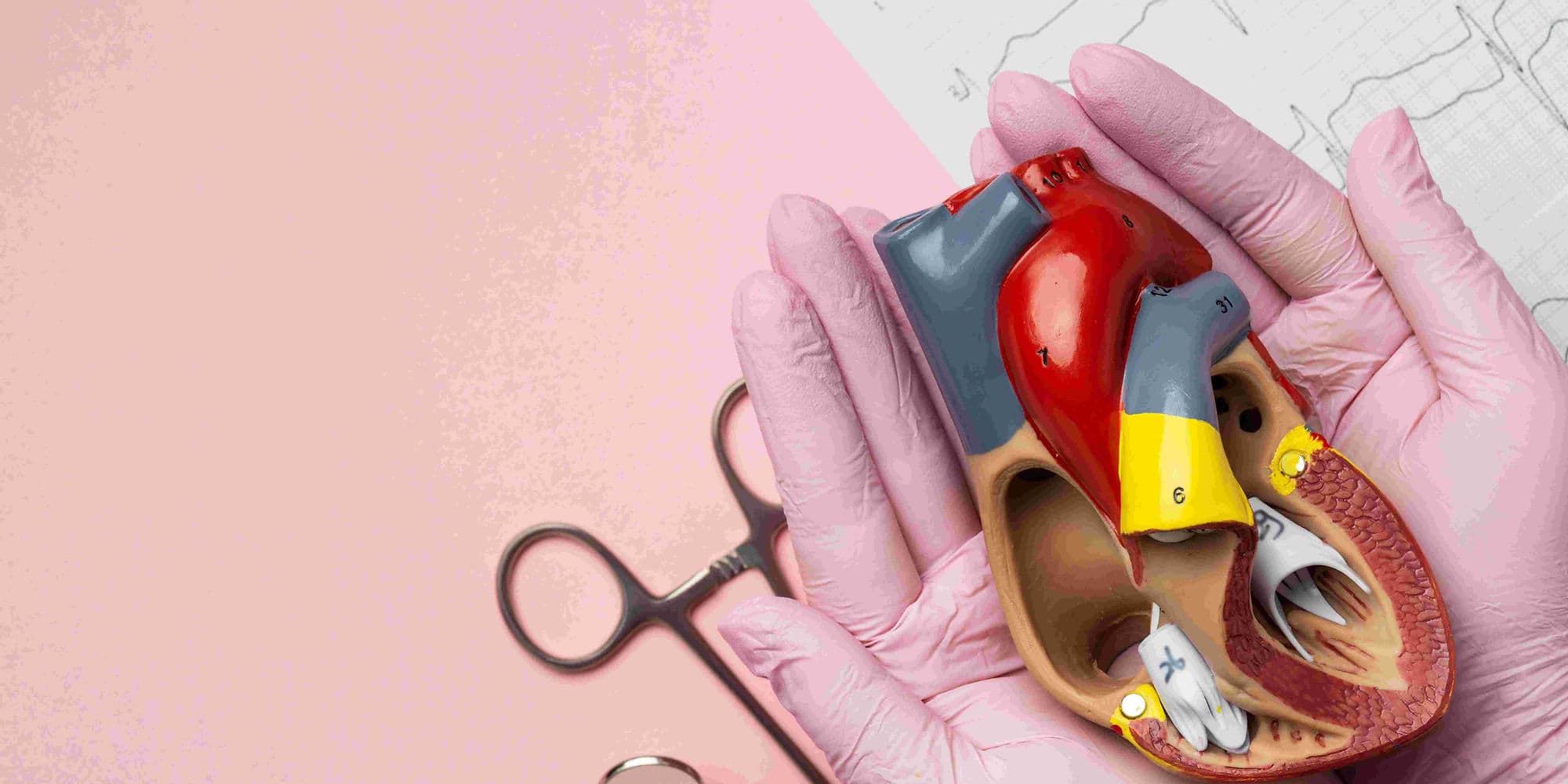 VSD Device Closure treatment